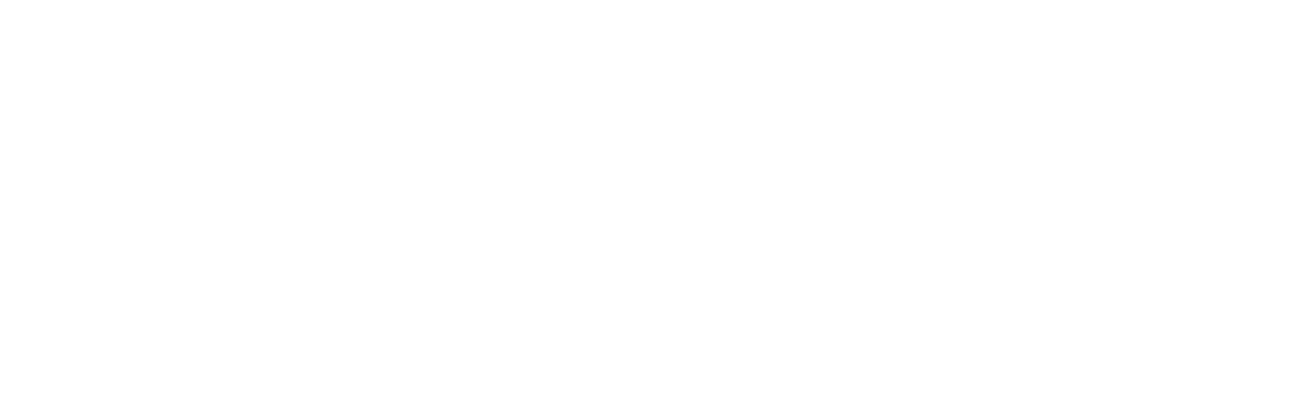 BizProcess.AI